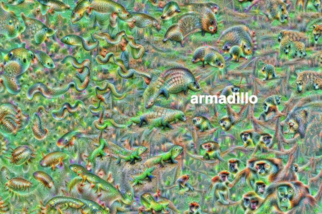 The wondrous state of Computer Vision, and what the algorithms actually “see”