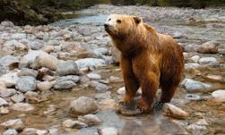 Making Pictures 3D using Context-aware Layered Depth&nbsp;Inpainting